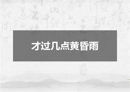 才过几点黄昏雨