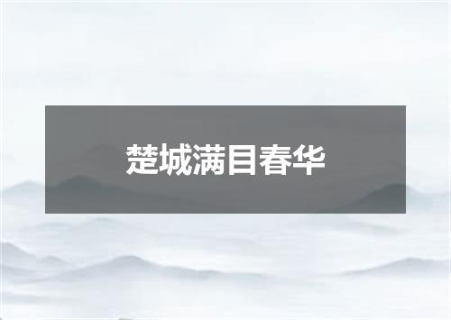 楚城满目春华