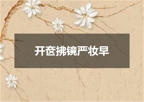 开奁拂镜严妆早