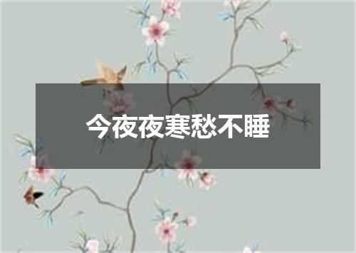 今夜夜寒愁不睡