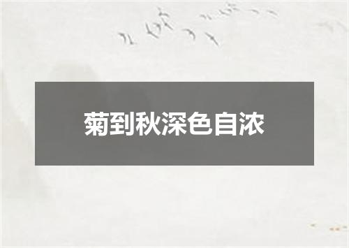菊到秋深色自浓