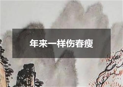 年来一样伤春瘦