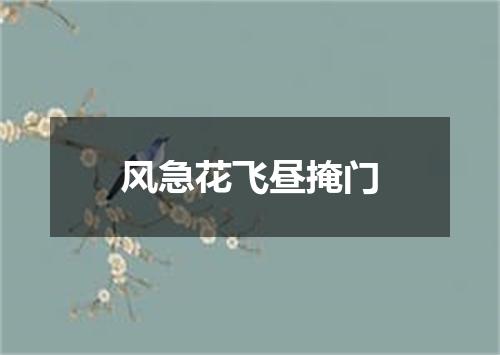 风急花飞昼掩门