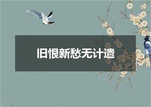 旧恨新愁无计遣