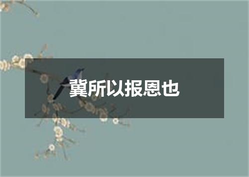 冀所以报恩也