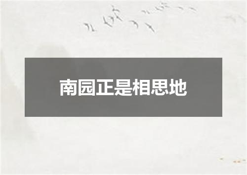 南园正是相思地