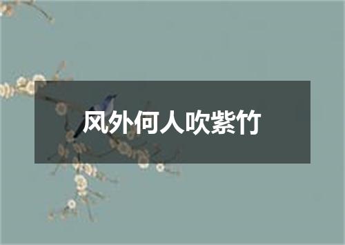 风外何人吹紫竹