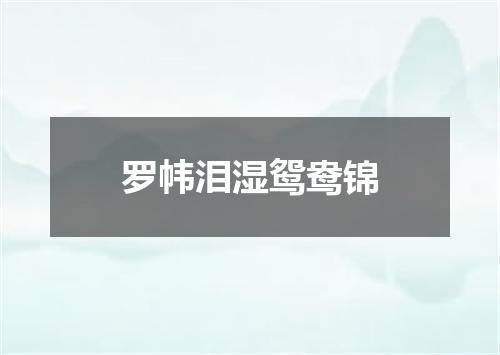 罗帏泪湿鸳鸯锦
