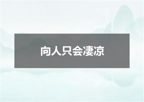 向人只会凄凉