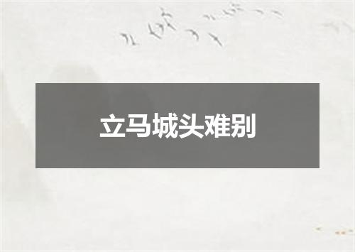 立马城头难别