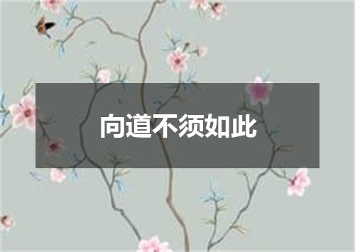 向道不须如此