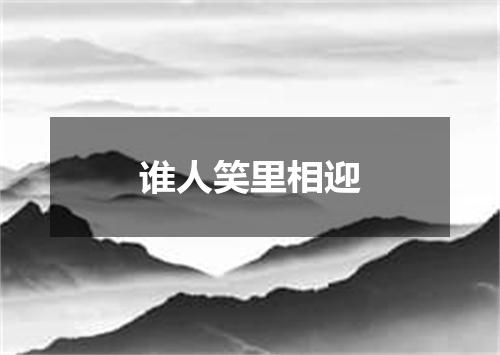 谁人笑里相迎