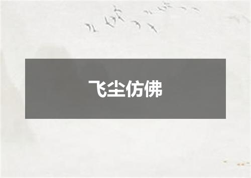 飞尘仿佛