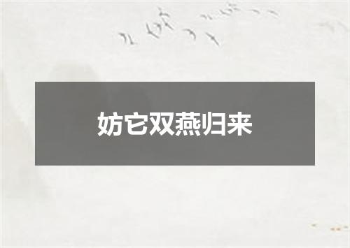 妨它双燕归来