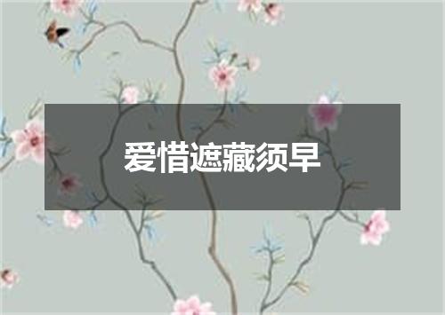 爱惜遮藏须早