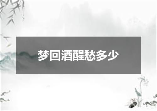 梦回酒醒愁多少