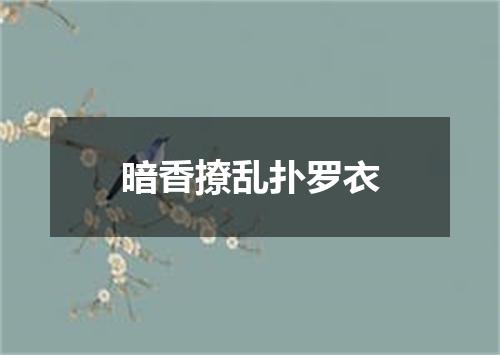 暗香撩乱扑罗衣