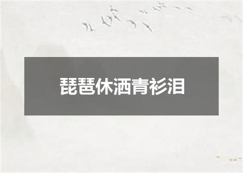 琵琶休洒青衫泪