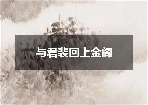 与君裴回上金阁