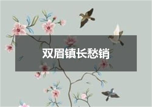 双眉镇长愁销