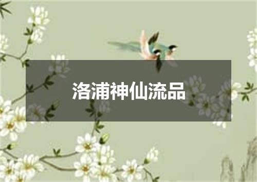 洛浦神仙流品