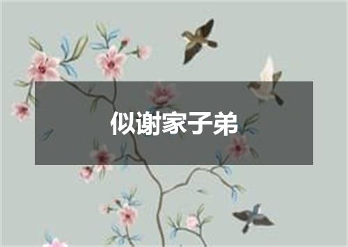 似谢家子弟
