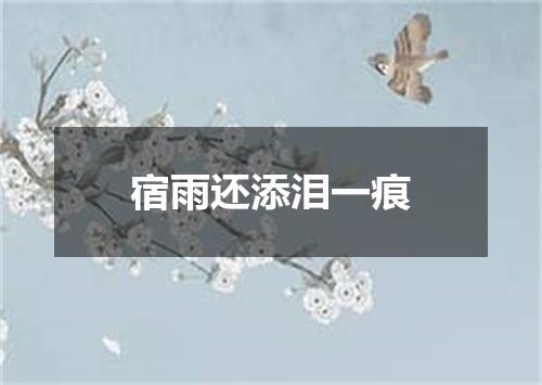 宿雨还添泪一痕