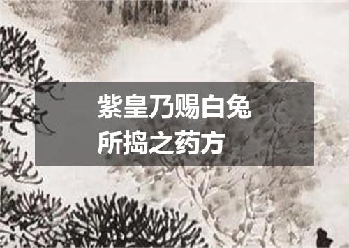 紫皇乃赐白兔所捣之药方