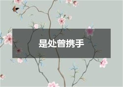 是处曾携手