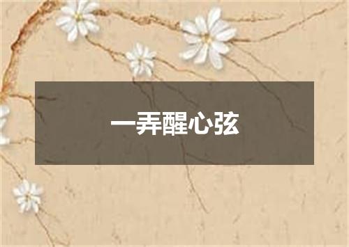 一弄醒心弦