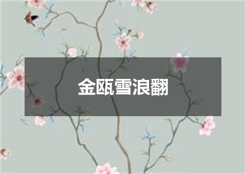 金瓯雪浪翻