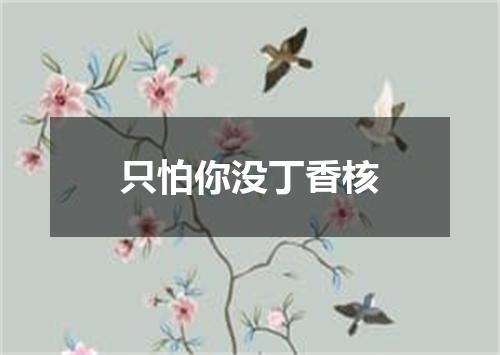 只怕你没丁香核