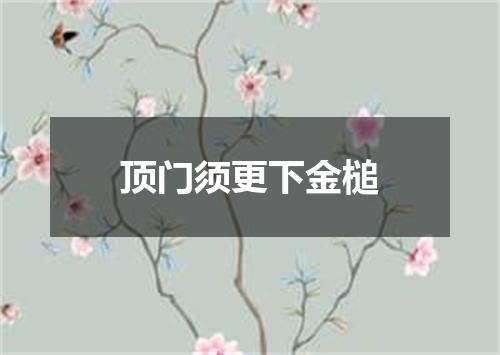 顶门须更下金槌