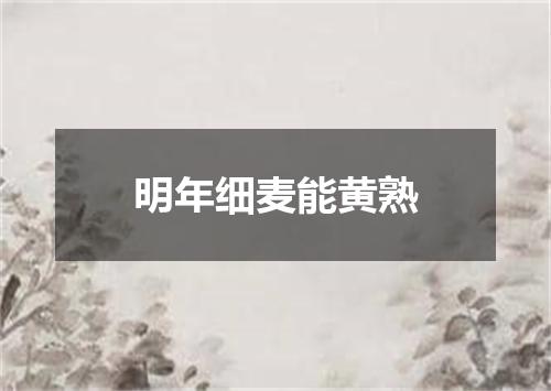 明年细麦能黄熟