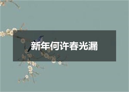 新年何许春光漏