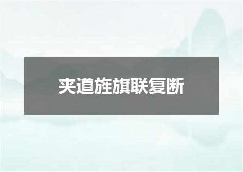 夹道旌旗联复断