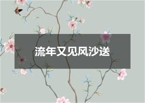 流年又见风沙送