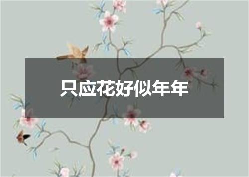 只应花好似年年