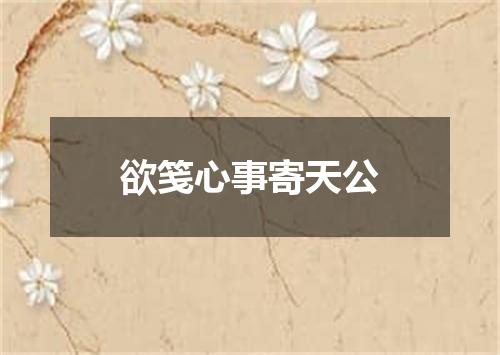 欲笺心事寄天公