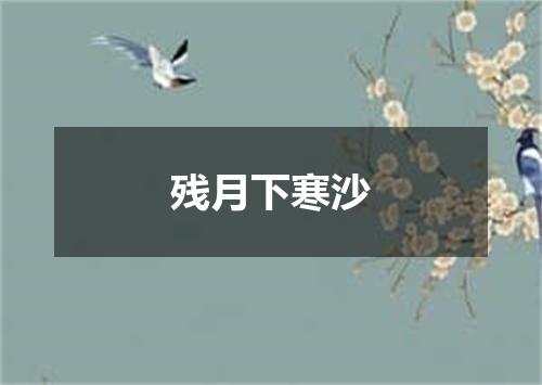 残月下寒沙