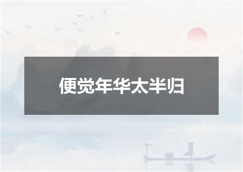 便觉年华太半归