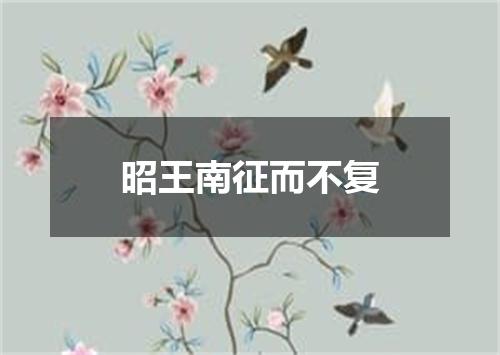 昭王南征而不复