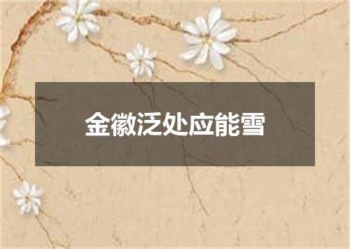 金徽泛处应能雪