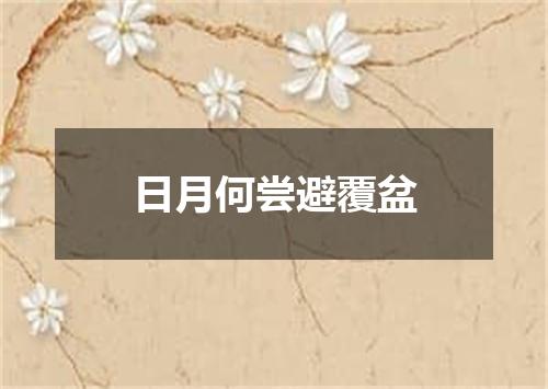 日月何尝避覆盆