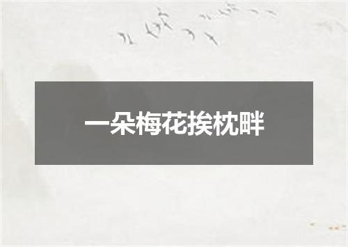 一朵梅花挨枕畔