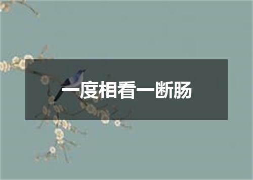 一度相看一断肠