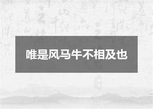 唯是风马牛不相及也