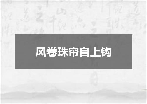 风卷珠帘自上钩