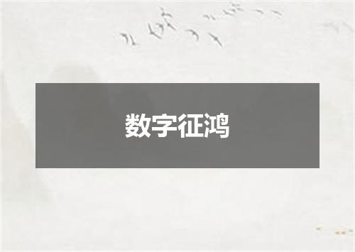 数字征鸿