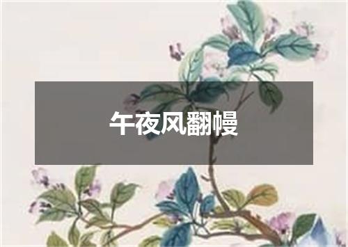 午夜风翻幔